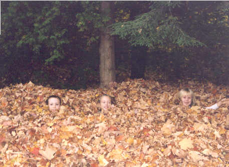 Cousins in leaves